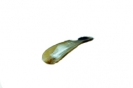 Abbyhorn Shoe Horn, 175cm, Zebu horn